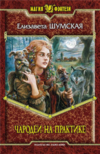 Чародеи на практике 2008 г ISBN 978-5-9922-0252-6 инфо 1509g.