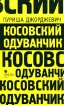 Косовский одуванчик Издательство: Издательство К Тублина, 2008 г Твердый переплет, 224 стр ISBN 978-5-8370-0500-8 Тираж: 3000 экз Формат: 76x100/32 (~115x180 мм) инфо 3349g.